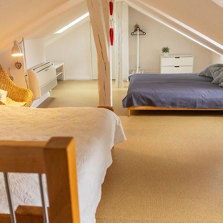 City Center Duplex Loft Colmar Exterior photo